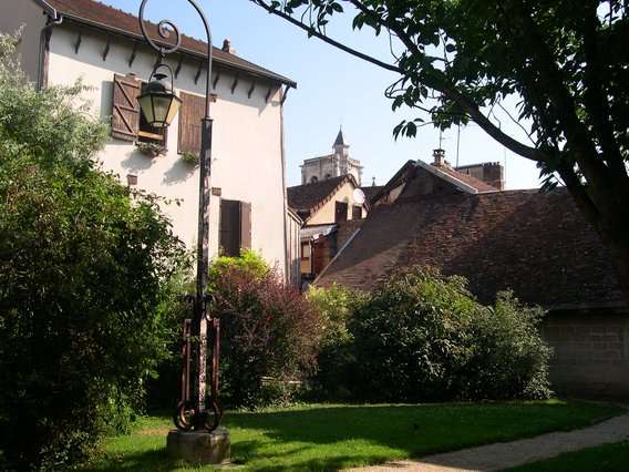  verdure dans la ville